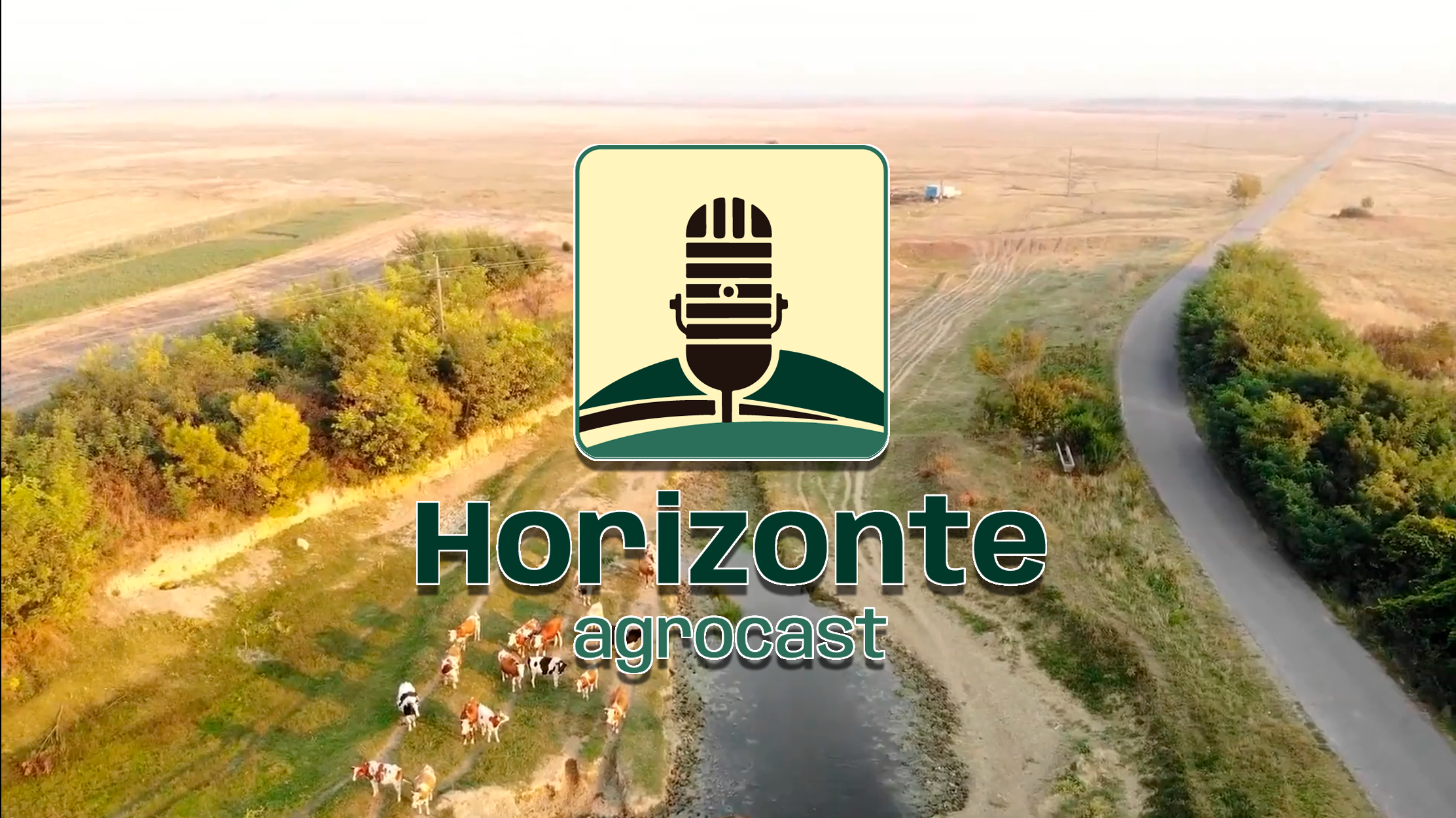 Horizonte Agrocast